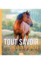 Les chevaux et poneys