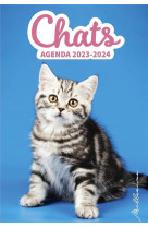 Agenda chats (edition 2023/2024)