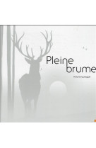 Pleine brume