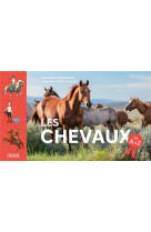 Les chevaux de a a z