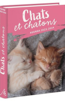 Chats et chatons : agenda (edition 2024/2025)