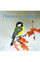 Oiseaux de nos jardins - calendrier 2025