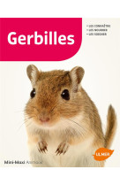 Gerbilles