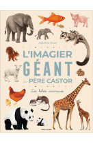 L'imagier geant du pere castor