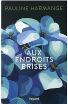 Aux endroits brises