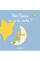 Petit prince, ou es-tu cache ?