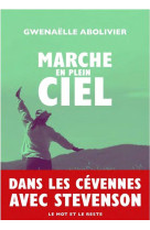 Marche en plein ciel