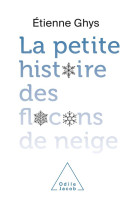 La petite histoire des flocons de neige