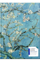 Carnet hazan pleine toile - van gogh amandier en fleurs