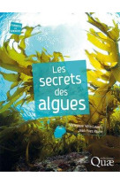 Les secrets des algues