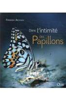 Dans l'intimite des papillons