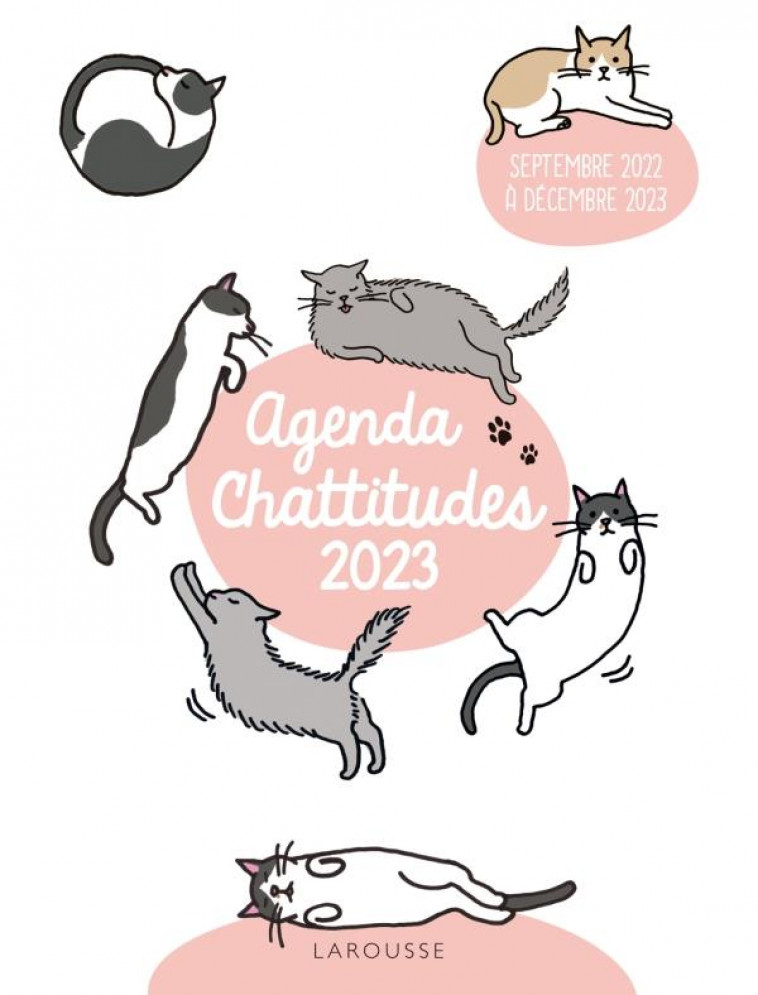 AGENDA CHATTITUDES (EDITION 2023) - XXX - NC