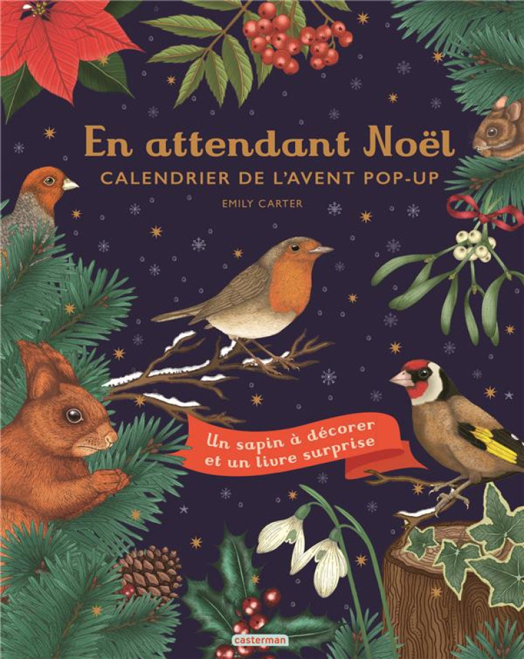 EN ATTENDANT NOEL : CALENDRIER DE L'AVENT POP-UP - CARTER EMILY - CASTERMAN