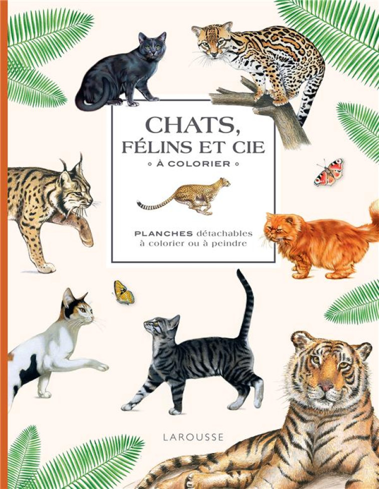 CHATS, FELINS ET CIE A COLORIER - XXX - NC