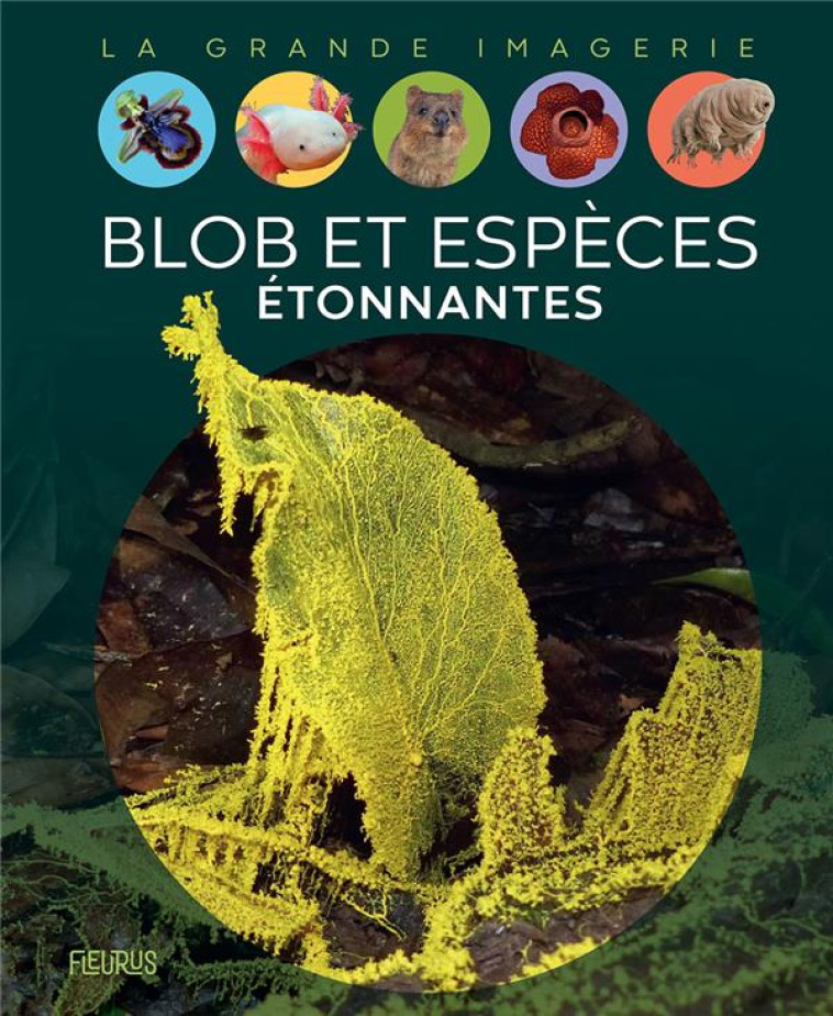 BLOB ET ESPECES ETONNANTES - TERNOIS MANON - FLEURUS