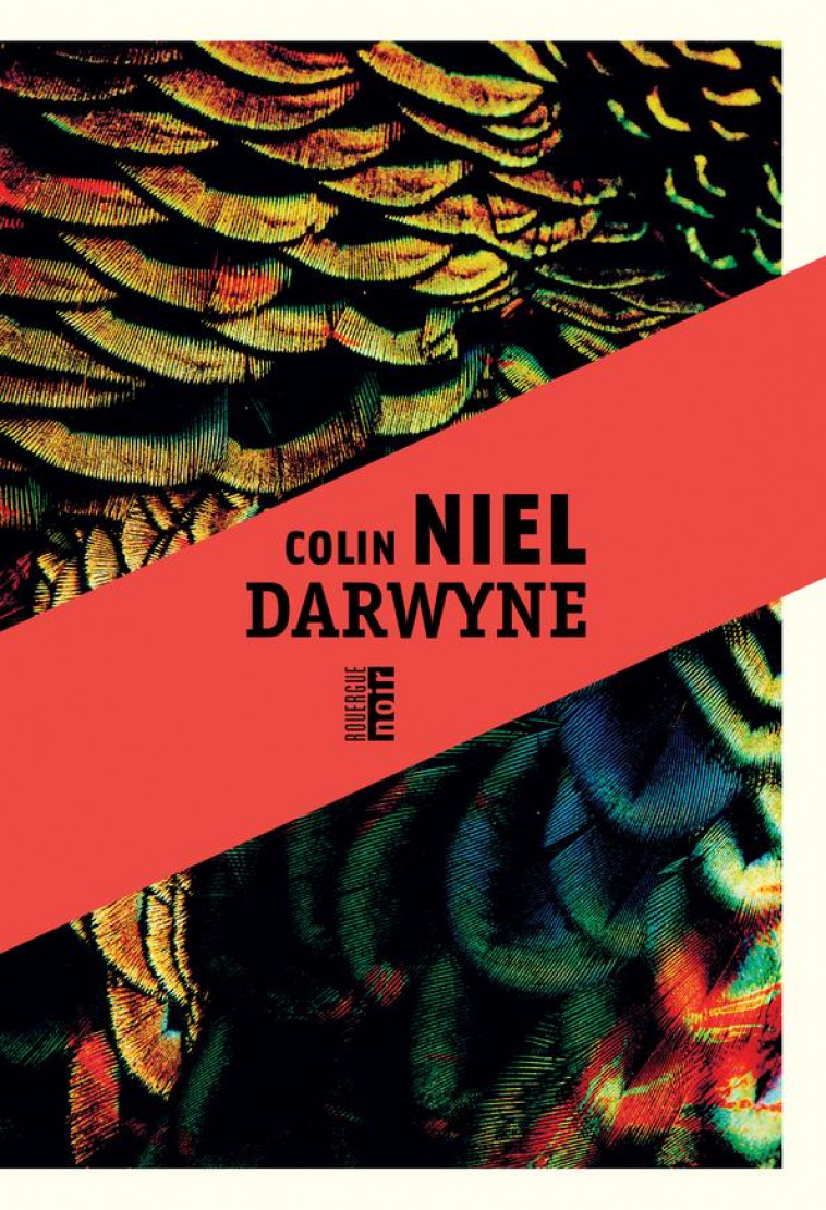 DARWYNE - NIEL COLIN - ROUERGUE
