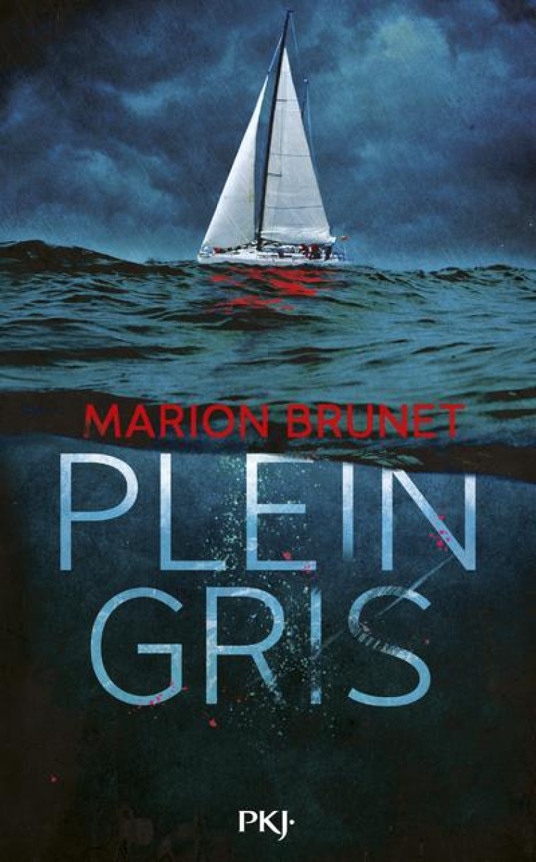 PLEIN GRIS - BRUNET, MARION - POCKET