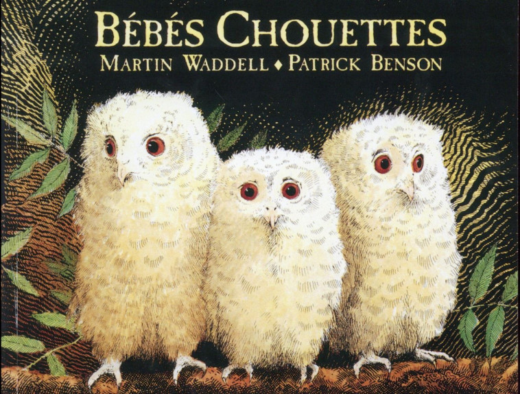BEBES CHOUETTES - BENSON/WADDELL - EDL