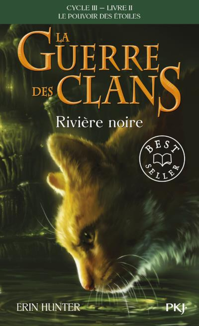 LA GUERRE DES CLANS - CYCLE 3  -  LE POUVOIR DES ETOILES TOME 2 : RIVIERE NOIRE - HUNTER ERIN - POCKET