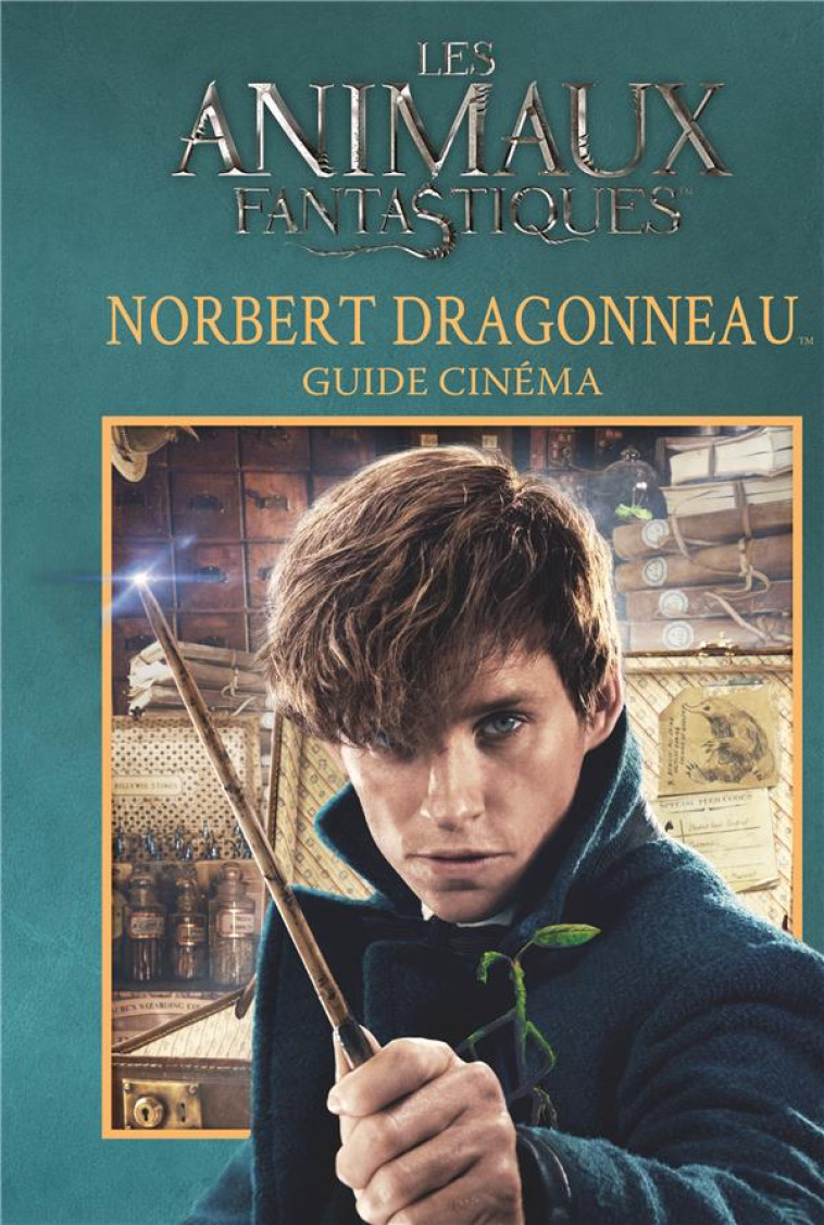 NORBERT DRAGONNEAU - GUIDE CINEMA - COLLECTIF - Gallimard-Jeunesse