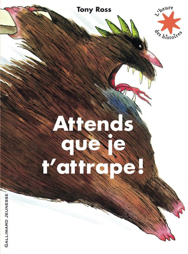 ATTENDS QUE JE T'ATTRAPE ! - ROSS TONY - Gallimard-Jeunesse