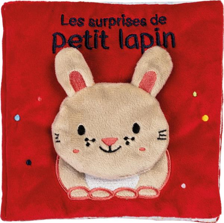 LES SURPRISES DE PETIT LAPIN - FERRI FRANCESCA - QUATRE FLEUVES