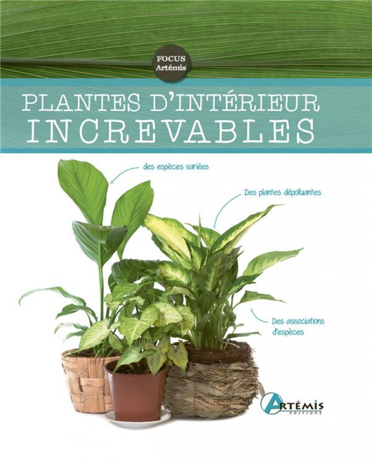 PLANTES D'INTERIEUR INCREVABLES - COLLECTIF - ARTEMIS