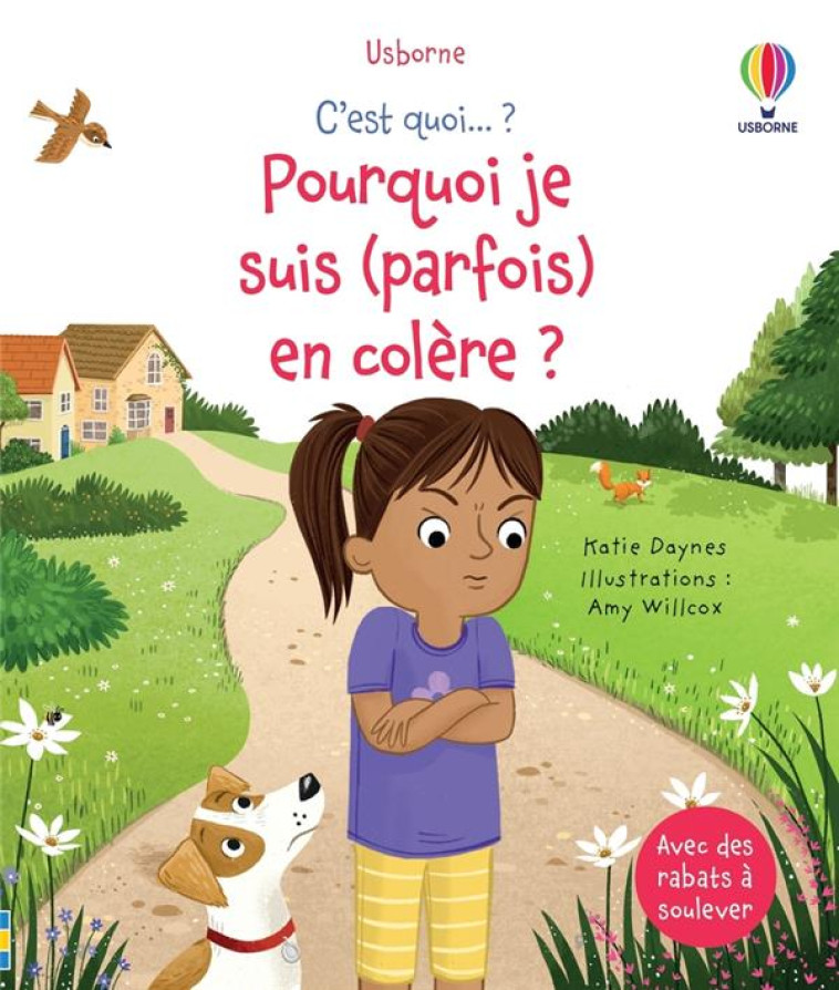 C'EST QUOI... : POURQUOI JE SUIS (PARFOIS) EN COLERE ? - DAYNES/WILLCOX/RYDER - NC