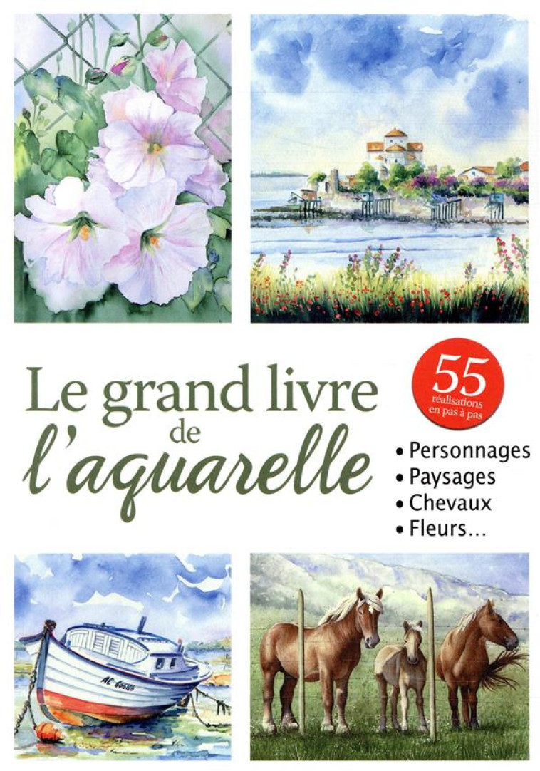 GRAND LIVRE DE L'AQUARELLE (LE) - BOYKO NATALY - EURO SERVICE