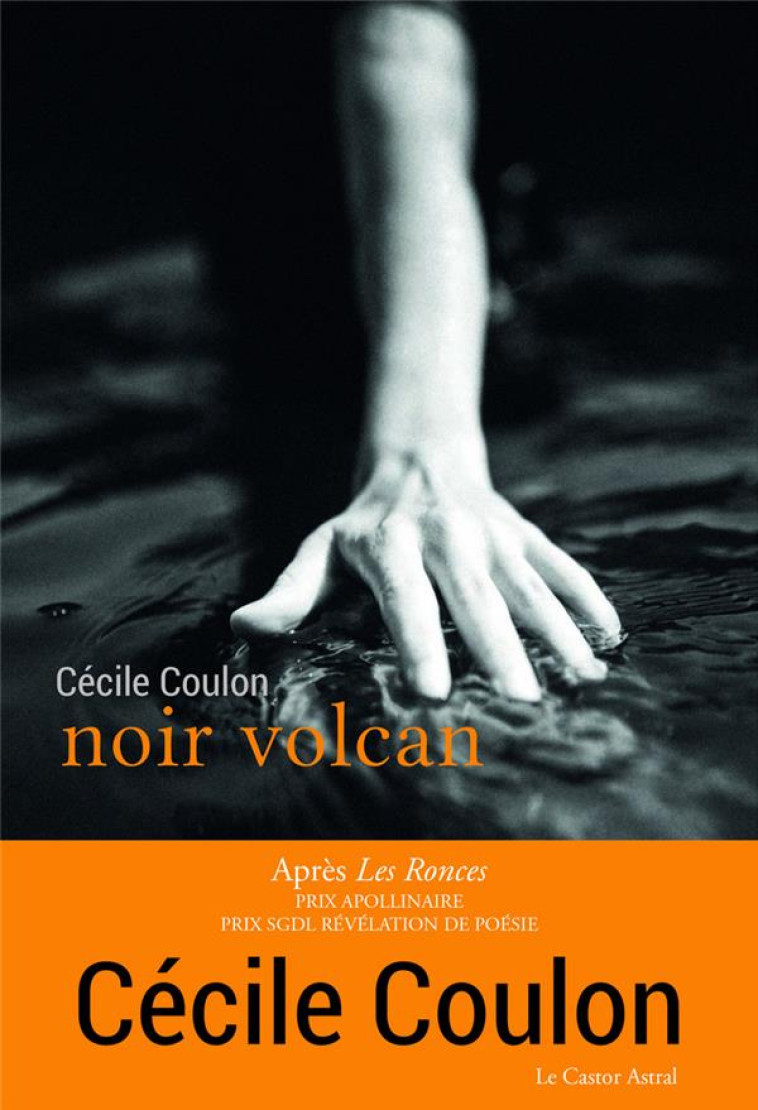 NOIR VOLCAN - COULON/BORD - CASTOR ASTRAL