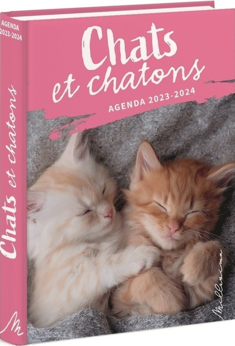 CHATS ET CHATONS : AGENDA (EDITION 2024/2025) - COLLECTIF - NC