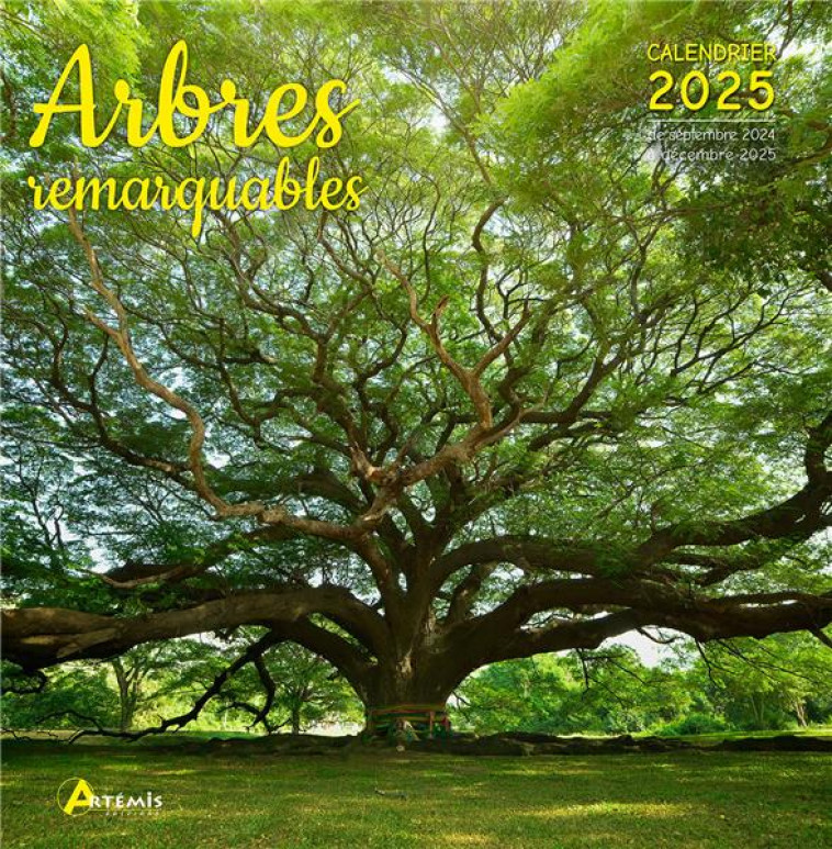 CALENDRIER ARBRES REMARQUABLES 2025 - COLLECTIF - NC