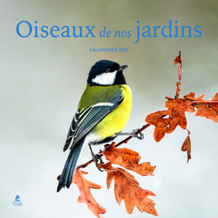 OISEAUX DE NOS JARDINS - CALENDRIER 2025 - COLLECTIF - PLACE VICTOIRES