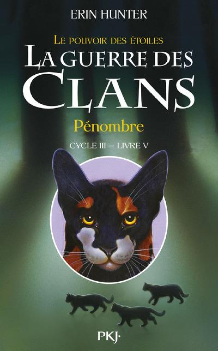 LA GUERRE DES CLANS - CYCLE 3  -  LE POUVOIR DES ETOILES T.5 : PENOMBRES - HUNTER ERIN - Pocket jeunesse