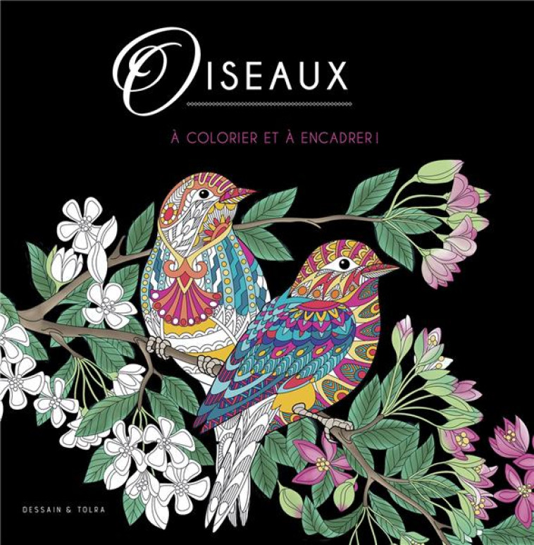 OISEAUX  -  A COLORIER ET A ENCADRER ! - XXX - PU SEPTENTRION