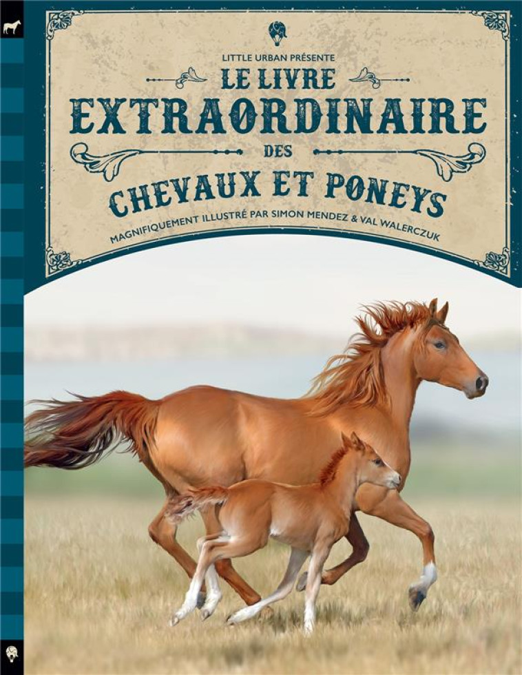 LE LIVRE EXTRAORDINAIRE DES CHEVAUX ET DES PONEYS - WALERCZUK VAL - LITTLE URBAN