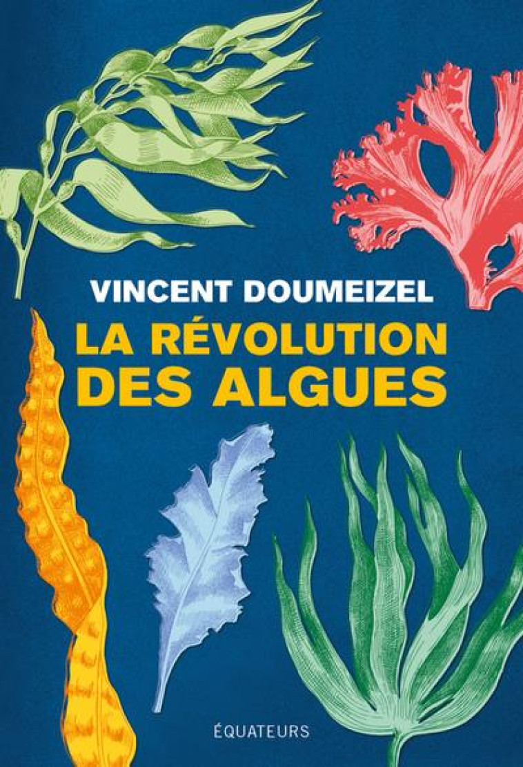 LA REVOLUTION DES ALGUES - DOUMEIZEL VINCENT - DES EQUATEURS