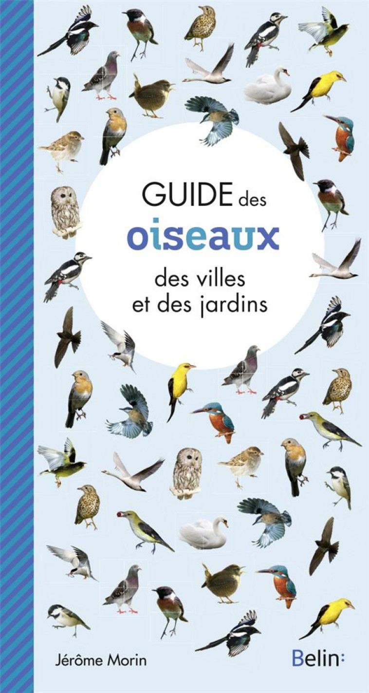 GUIDE DES OISEAUX DES VILLES ET DES JARDINS - EYSSARTIER GUILLAUME - BELIN