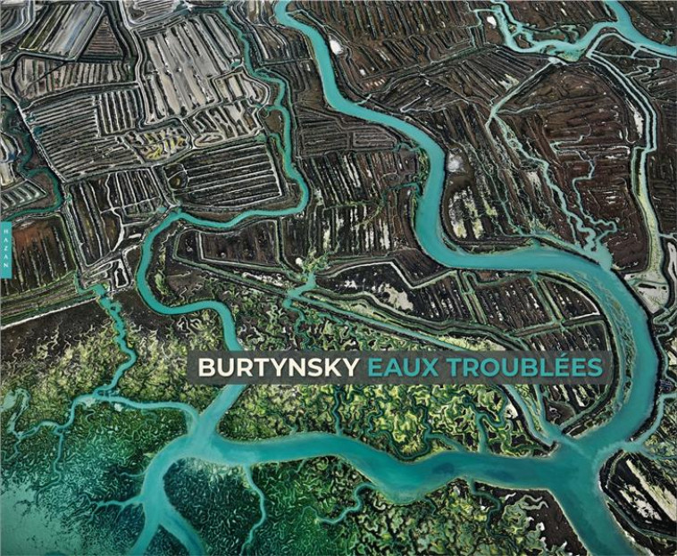 EDWARD BURTYNSKY : EAUX TROUBLEES - VIGANO ENRICA - HAZAN