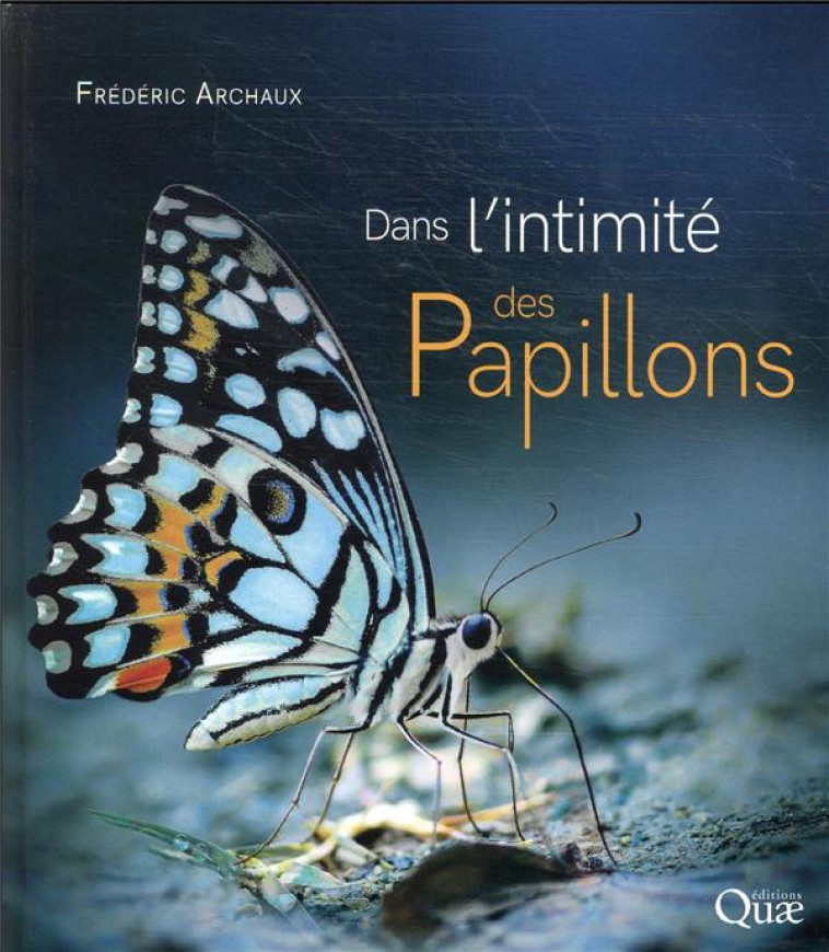 DANS L'INTIMITE DES PAPILLONS - ARCHAUX FREDERIC - QUAE