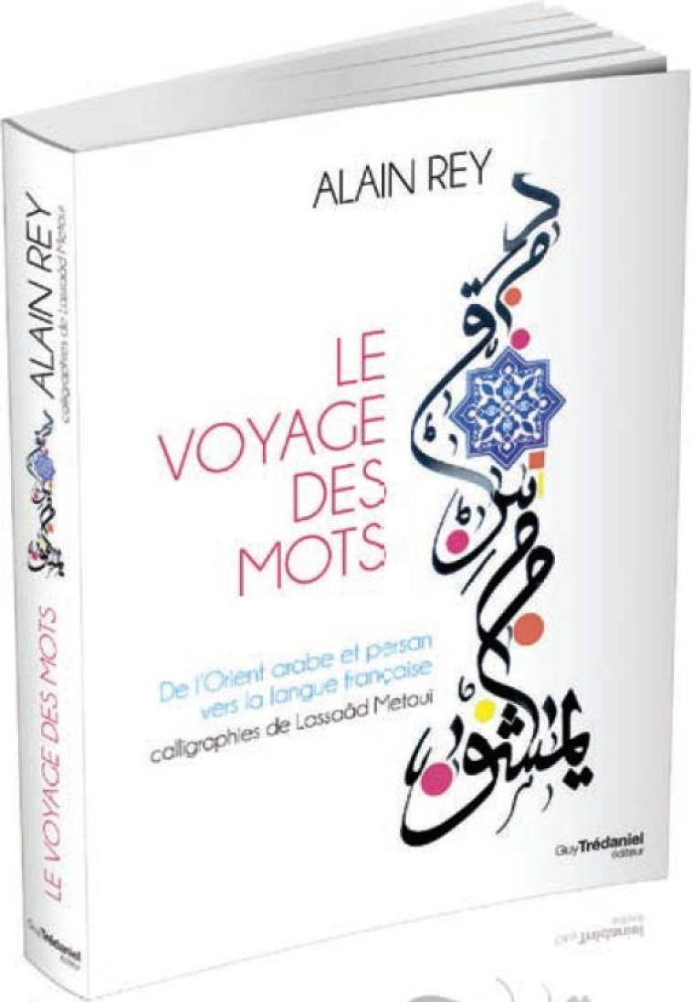 LE VOYAGE DES MOTS - REY/METOUI - TREDANIEL