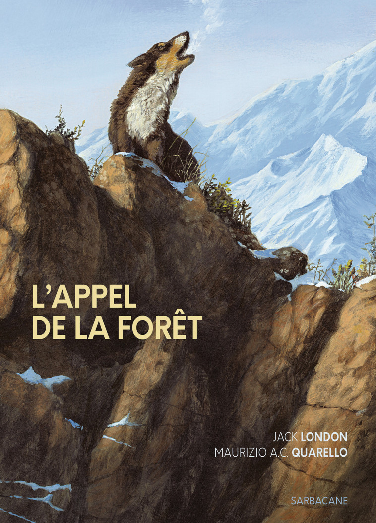 L'APPEL DE LA FORET - EDITION SOUPLE 2024 - Jack London - SARBACANE