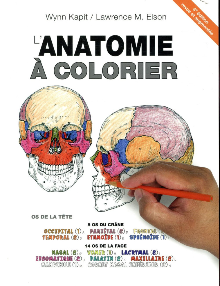 ANATOMIE A COLORIER (4E EDITION) - KAPIT/ELSON - MALOINE