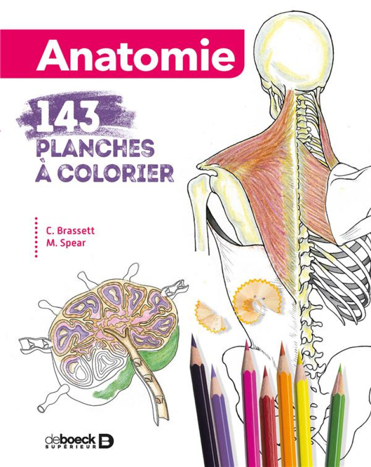 ANATOMIE  -  143 PLANCHES A COLORIER - SPEAR/BRASSETT - DE BOECK SUP